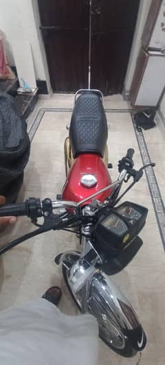 Honda 125 Gold Edition