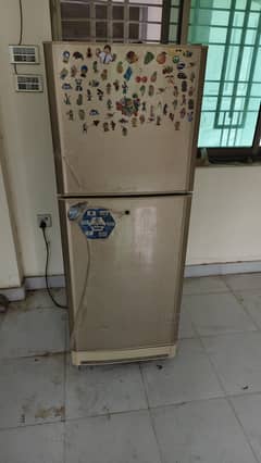 Fridge in Genuine Condition