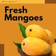 Mangoes