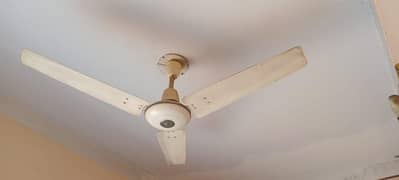 ceiling