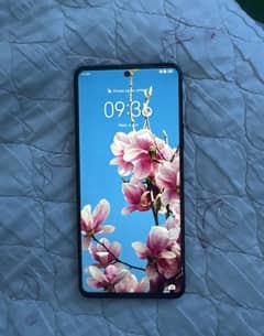 Nova 9 SE