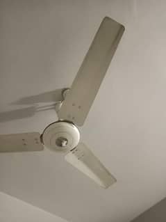 Royal 100% copper, Two fans selling in good condition. .