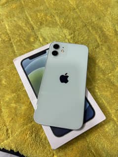 Ip