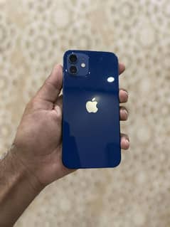 iPhone 12