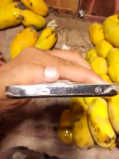 oppo Reno 12f 8/256