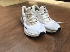 Nike Revolution 5 Men's