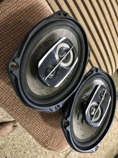 Pioneer