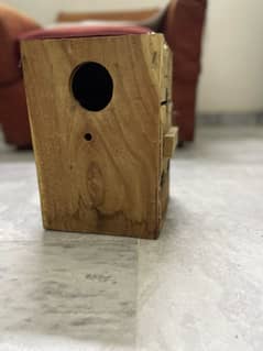 Box for birds