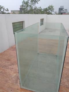 Fish Corium