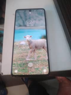 Samsung galaxy a51
