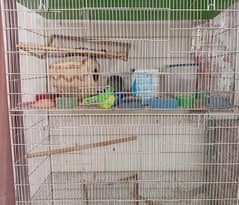 cage 4 floor