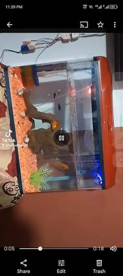 aquarium for sell