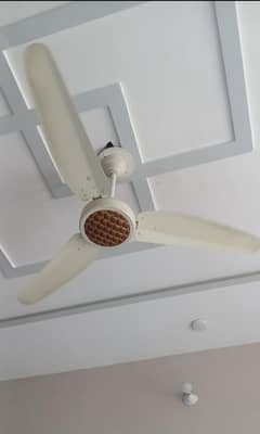 Selling Fan