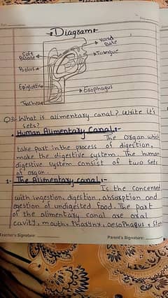 home base written assignment work
