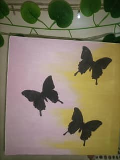 butterfly