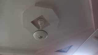 Ceiling Fans for Sale - Royal Brand ( all fans good working condition