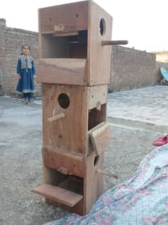 Parrot wooden boxes