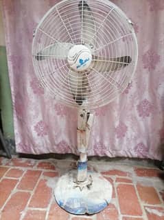 Dc fan