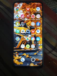 vivo