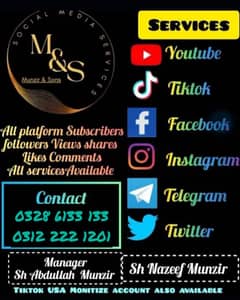 Youtube Subscribers Tiktok Followers Instagram Followers Available