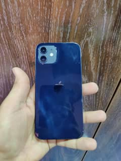 iphone 12 (128) GB