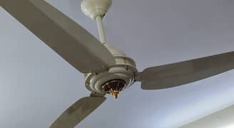 GFC AC DC Fan