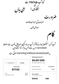tiktok universal earning platform with earning prof
