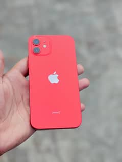 Iphone 12 pta