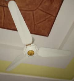 Cilling Fan