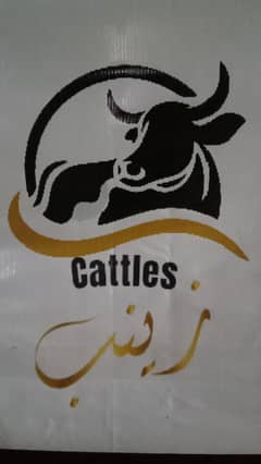 2 daant bachiya