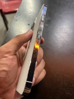 Iphone 14 promax white color