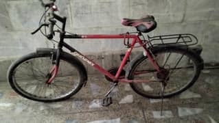 Cycle