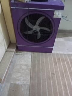 12 v cooler