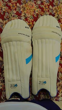Hard ball cricket kit