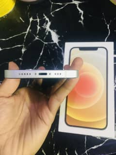 iPhone 12 (128GB) factory unlocked