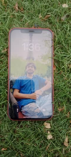iphone 12 Red Colour