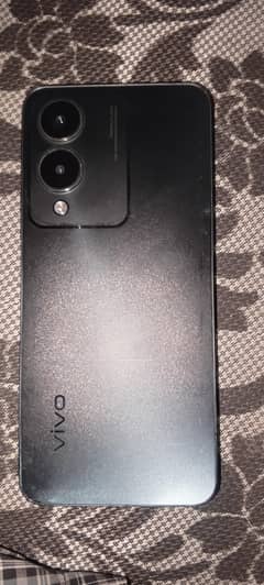 y17 s