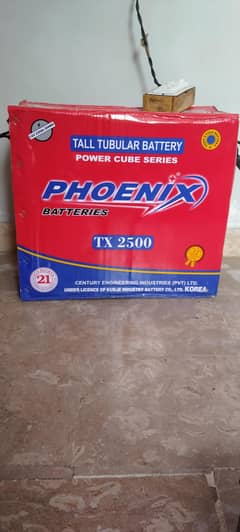 phoenix betthry