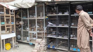 setup 100 + sale video available 03214726428