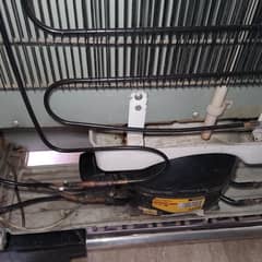 Electrolux frig