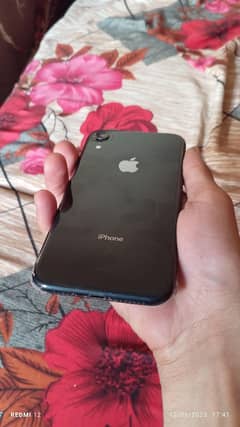 iPhone XR