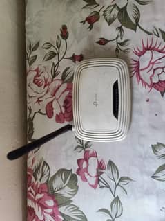 TP Link Router