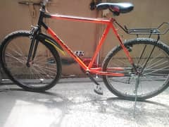 ORANGE COLOUR /PHONIX GEAR CYCLE