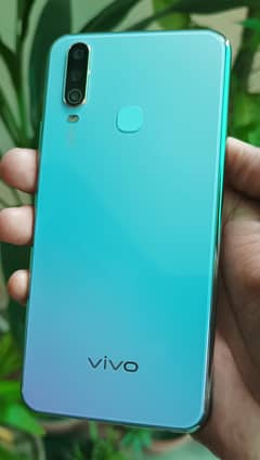 Vivo