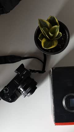 Sony A6500 with kit lens