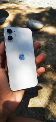 Apple iPhone 12