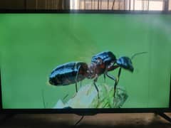 Samsung Led 40" inch