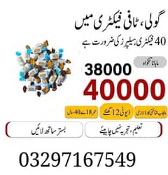 needs urgent biscuits packing and candy   paxking factory jobs  ava
