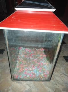 Aquarium small for sale