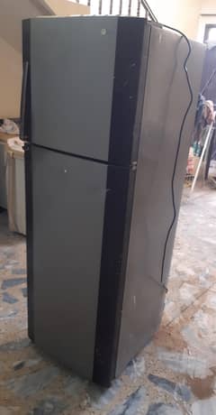 LG